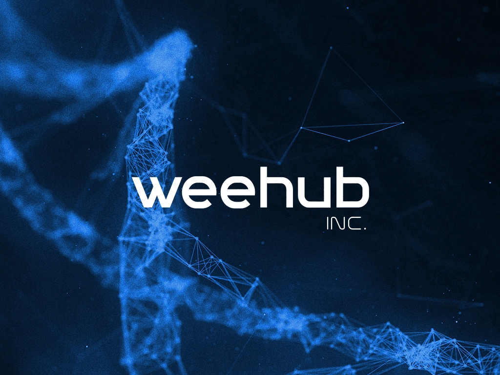 Weehub Transformacao Digital Ltda